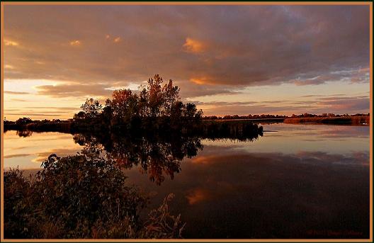 Click for larger image